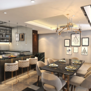 top living cum dinning-professional design