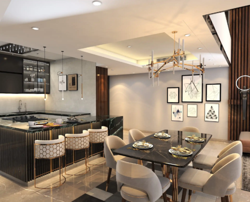 top living cum dinning-professional design